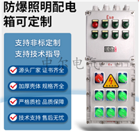 Ex成套照明动力配电箱 现场就地远程按钮控制箱5KW水泵启动隔爆柜