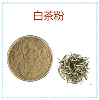 白茶粉 提取液 速溶粉 精细粉末 水溶性 沃特莱斯生物