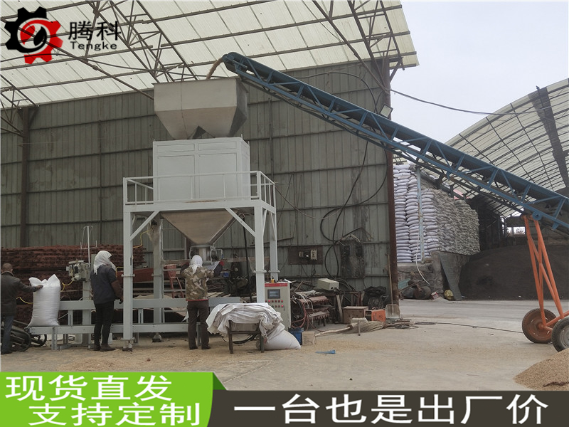 四川型煤異型塊狀通用包裝機價格 自動定量粉末包裝機生產廠家