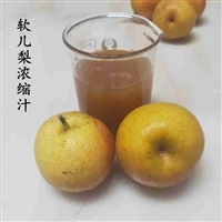 软儿梨浓缩汁5kg起订  软儿梨原浆  香水梨浓缩汁