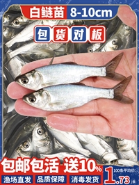 海拉尔花白鲢鱼苗 满洲里鲫鱼鲤鱼苗 牙克石草鱼黑鱼苗