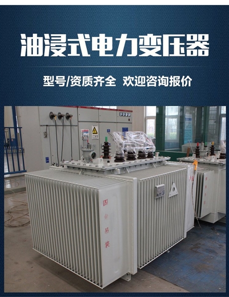 安徽黄山S22-1600kVA-NX1一级能效油浸式电力变压器