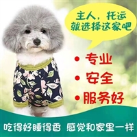 天津机场恒翔宠物托运公司 专注空运 上门接送代办手续 全程呵护