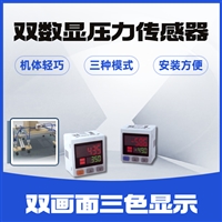华怡丰 DNP系列 双数显数字压力传感器
