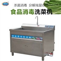 多功能气泡洗菜机 小型水果蔬菜清洗机