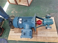 天一泵业齿轮油泵CHY型直流电机齿轮泵订制齿轮泵