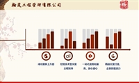 梨树项目资金申请报告代制指南