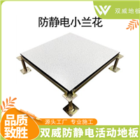 小兰花陶瓷防静电地板 适用于各种无尘车间医药行业