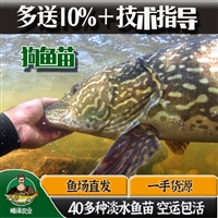 瓦房店市花白鲢鱼苗批发 草鱼鲫鱼苗批发 鲤鱼青鱼苗批发