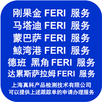 如何办达累斯萨拉姆FERI NO