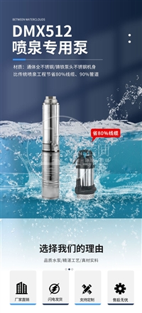 DMX512不锈钢喷泉泵 景观园林花园喷泉潜水泵 喷泉系统定制
