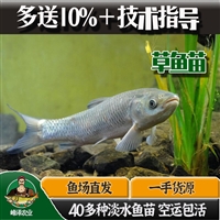 吉林延吉花白鲢鱼苗批发 柳根鱼苗批发 老头鱼苗批发