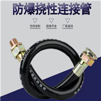 防爆密封接头扰性管 DN20活接头双内丝 乐清振磊防爆补锌