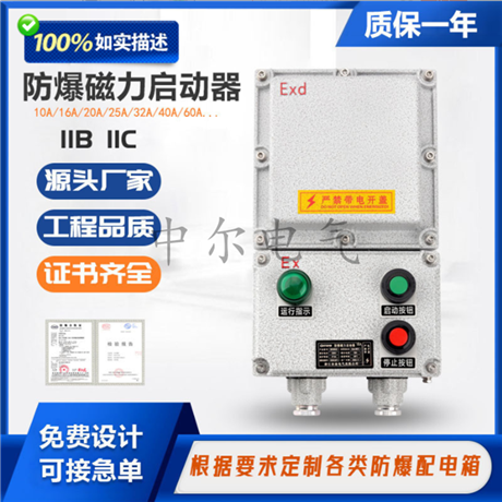 BDZ防爆断路器配电箱接线箱220v380V启停按钮控制箱IP65磁力启动器