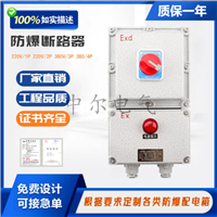 BDZ防爆断路器漏电2P3P4P10A-100A三相开关箱铝合金空开箱220V380V