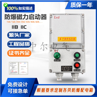 BDZ防爆断路器配电箱接线箱220v380V启停按钮控制箱IP65磁力启动器