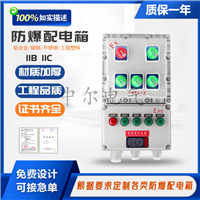 粉尘防爆照明动力配电箱BXMD51铸铝检修电源开关箱 仪表插座监控箱