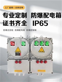 制药厂车间防爆配电箱ExdIICT6仪表接线箱IP54IP65检修开关控制箱