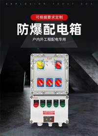 发电厂防爆配电箱BXMD系列ip65防护防尘防腐WF1WF2铸铝隔爆控制柜