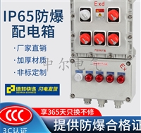 防爆动力配电箱IP65立式挂式 酿酒厂隔爆照明控制箱4/5/6/7/8回路