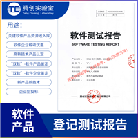 软件测评报告 2024年广州市关键软件产品资源池入库申报