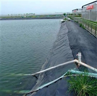 养殖防水布30丝莲藕池养鱼池专用防水料