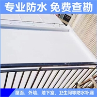 钢结构防水施工TPO外露防水卷材 四会JS防水涂料