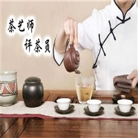 介绍一下茶艺师证多少钱