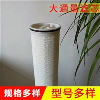 大通量滤芯  折叠膜滤芯