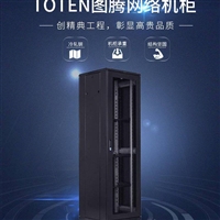 TOTEN图腾网络机柜 G36642U 600*600*2055mm 42U 网孔门 2米19寸