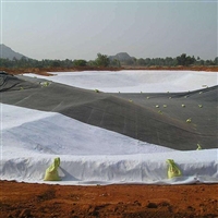 丽江养殖用防渗土工膜 人工水池防渗漏HDPE膜 鱼塘防渗加厚塑料布