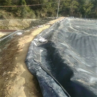 东莞污水处理池防渗膜 养牛场沼气池防渗膜 猪场废水处理防渗膜