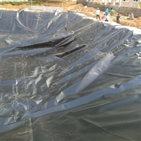 鱼池防穿刺土工膜厂家 养猪养牛场沼气池土工膜 防潮层hdpe土工膜