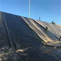 安徽水蛭养殖防渗膜厂家 矿山治理防渗土工布 鱼池复合防渗膜批发