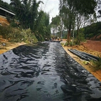 江西养殖防渗膜价格 淬火液池防渗土工膜 危废品仓库防渗漏HDPE膜 