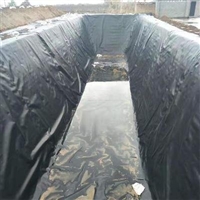 常宁洗选池防渗膜 水产养殖专用膜防渗漏 莲藕种植防渗膜规格