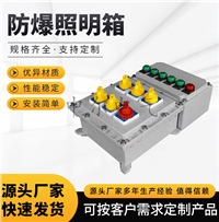 BXMIIB防爆照明配电箱220V380V隔爆接线箱 控制插座检修动力箱厂家