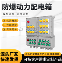 防爆箱10回路12回路非标定做500*600mm600*800m隔爆照明动力配电柜