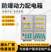 防爆箱10回路12回路可定做 500*600mm600*800mm隔爆照明动力配电柜