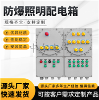 BXMIIC防爆照明配电箱 工厂加油站隔爆接线箱 控制插座检修动力箱