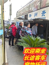 2024新增常州到上蔡客车