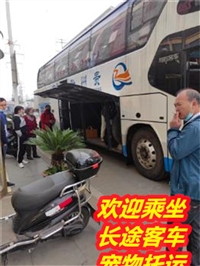 江阴到兰考豪华客车/长途豪华客车发车时间