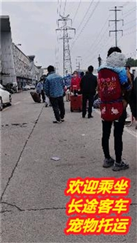 2024新增江阴到宿州长途直达汽车