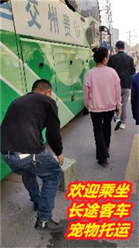 江阴到开封直达大巴/2024长途大巴