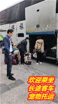 无锡到黄梅大巴/2024卧铺汽车