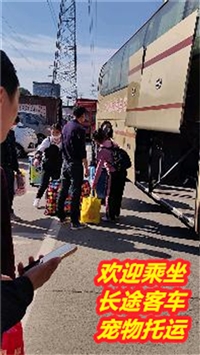 江阴到增城客车/2024新时刻表