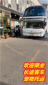 苏州到番禺长途客车发车时刻及票价查询/客车