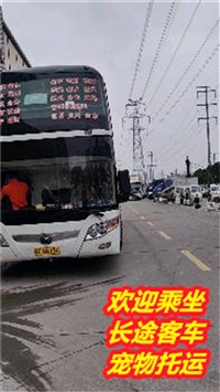 江阴到射阳卧铺营运客车票价及时刻表查询/客车