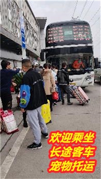 常州到怀化长途直达汽车票价及几点发车查询/客车