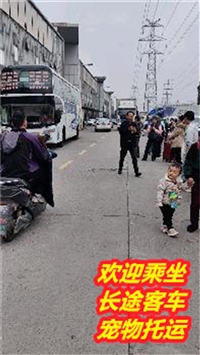 江阴到东乡豪华汽车时刻表及票价查询/客车